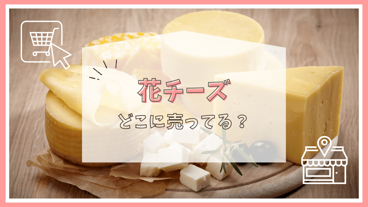 花チーズはどこに売ってる？