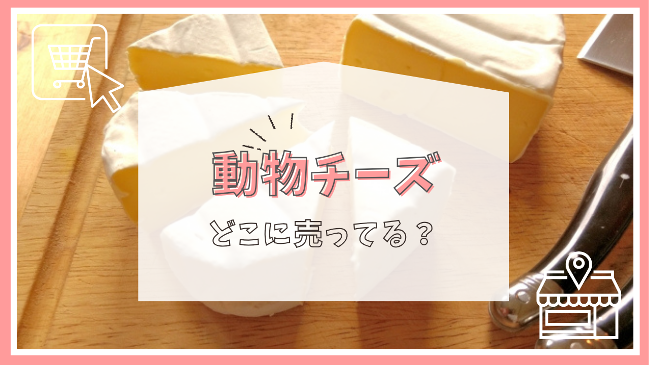 動物チーズはどこに売ってる？