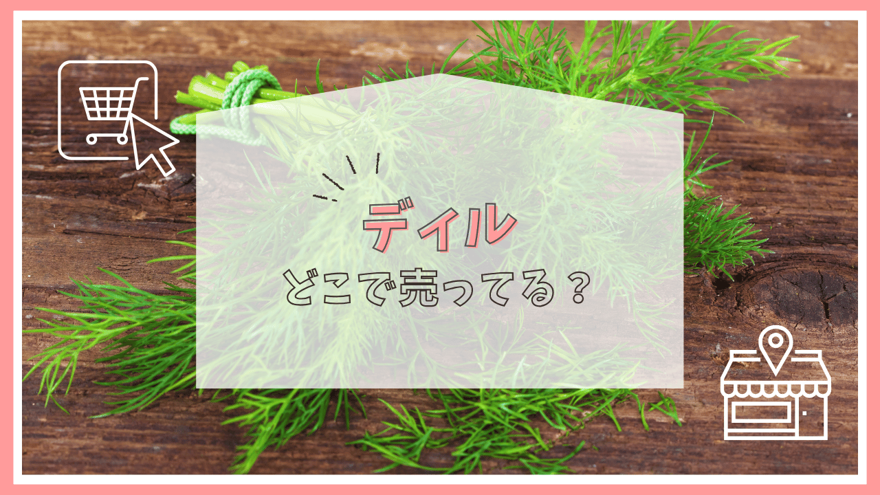 ディルはどこに売ってる？