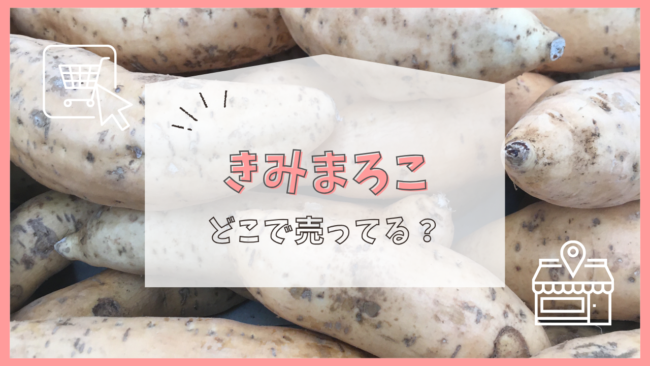 きみまろこ どこで売ってる