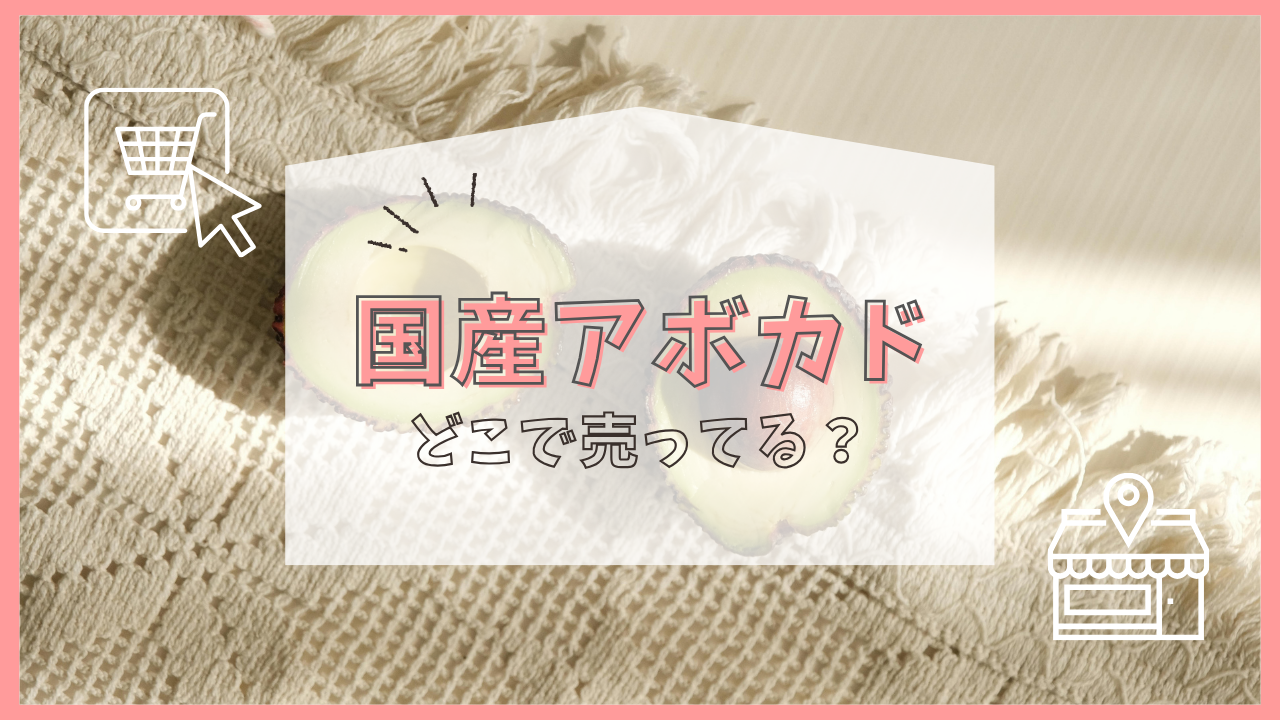 国産アボカド どこで売ってる