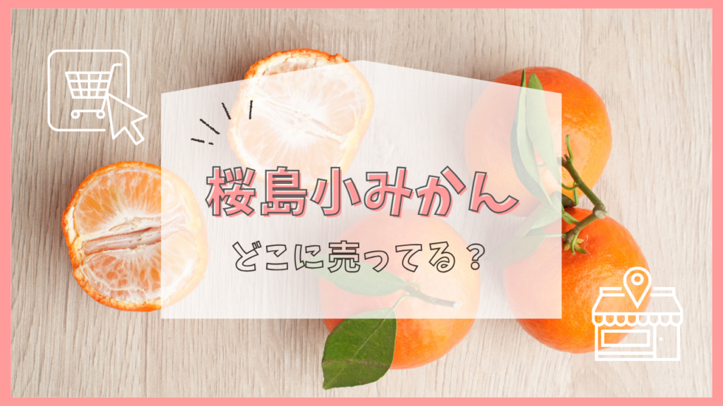 桜島小みかん　どこに売ってる